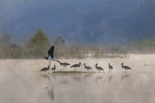 扈菁 故事就这样发生了