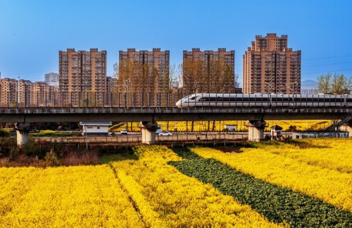 邓沪秋 高铁新城