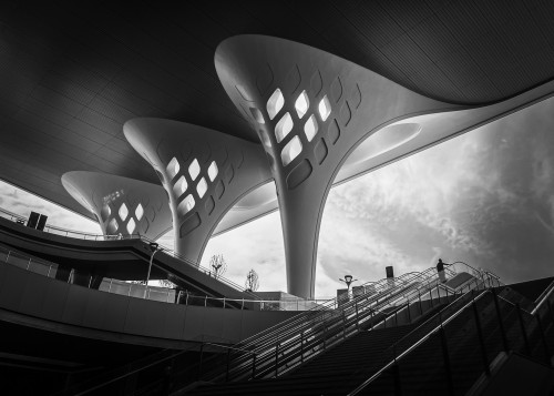 杨帆 向上的精神