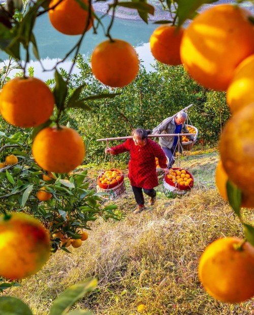 范世路 开心的笑