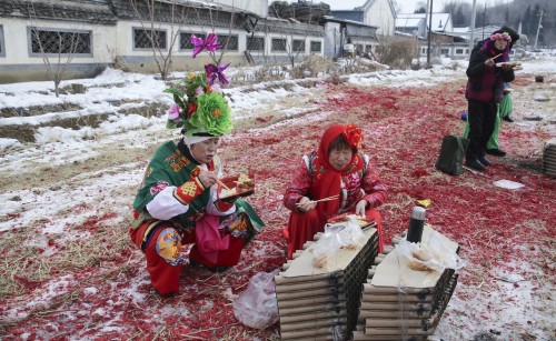 徐亚茹 地秧饭满族情