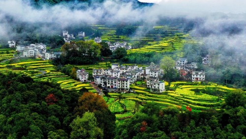 曹黎明 美丽乡村新画卷