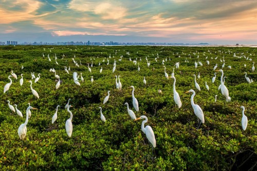 蓝成河 生态家园