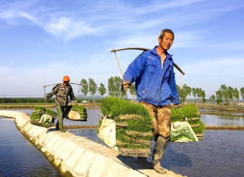 董书群 春华秋实