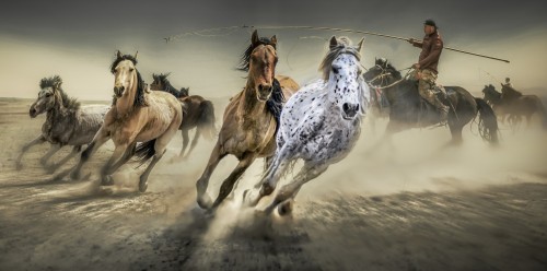 杨贺明 一马当先