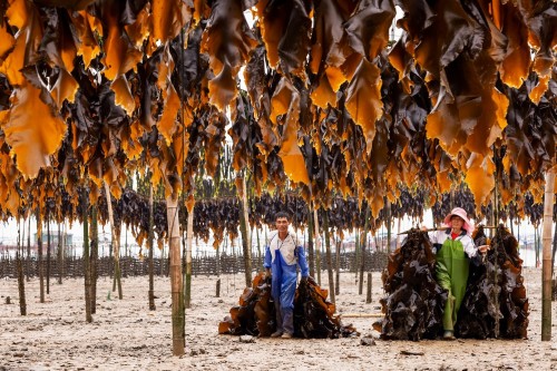 杨青 夫妻双双把家还