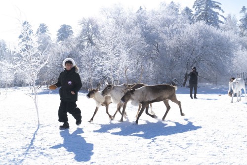陈文 快乐伺养员
