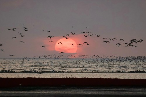 吕秋艳 落日余晖