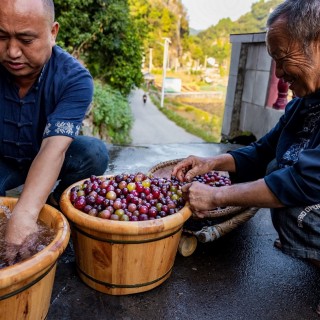 b9602a6cff44a493f824a8256505a21f